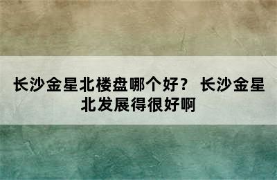 长沙金星北楼盘哪个好？ 长沙金星北发展得很好啊